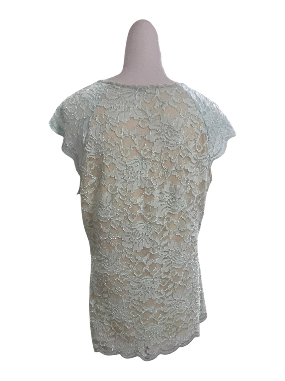 Boston Proper Minty Green Lace Overlay Cap Sleeve V-neck Top size L - Picture 3 of 6